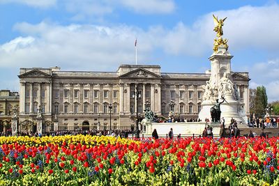 Buckingham Palace in the summer