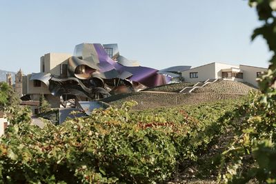hotel in rioja with a vineyard