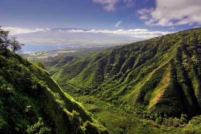 waihee ridge trail in Hawaii