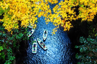 Boats in Kyushu