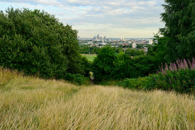Parliament Hill, Hampstead Heath