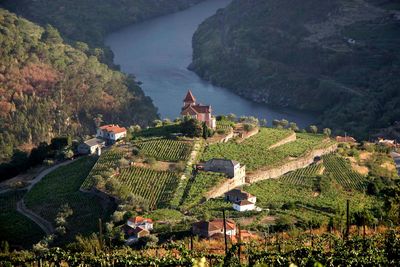 aerial view douro valley