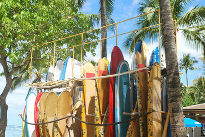 waikiki surf board stand