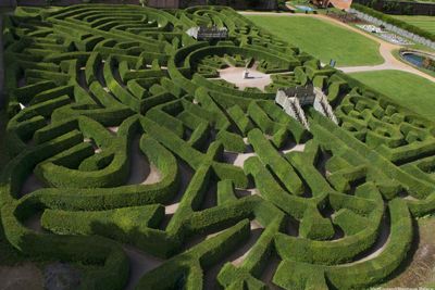 Blenheim Palace maze