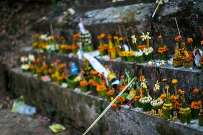 laos floral offerings