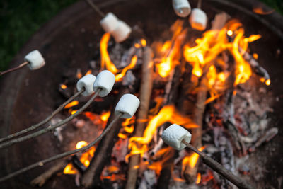 marshmallow roasting