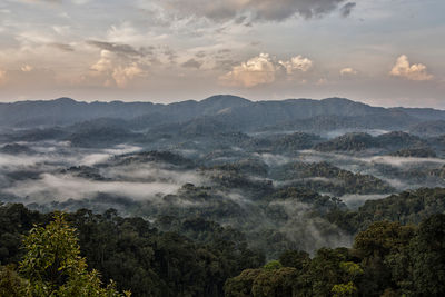 nyungwe forest national park in rwanda