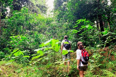 couple in the borneo rainforest