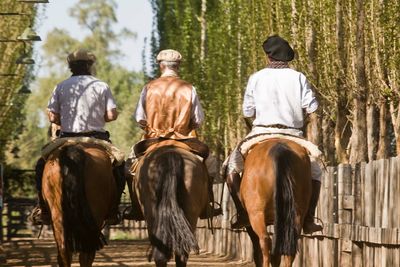 three gauchos