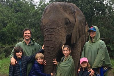 Plettenberg Bay elephant