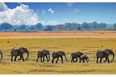 unesco cultural heritage zambia walking safari