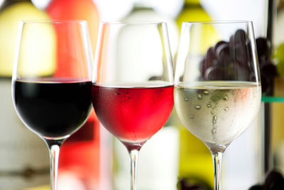 wine holiday provence