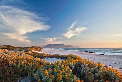 western cape flower season