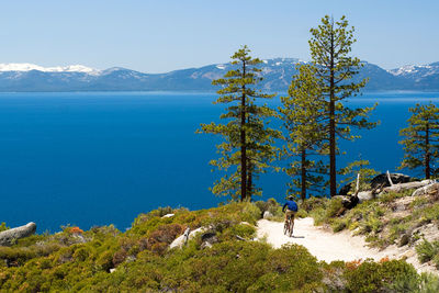 lake tahoe mountain biking california