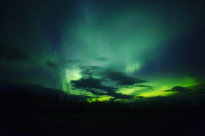 The Northern Lights Canada
