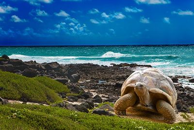 Galapagos Archipelago