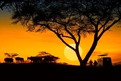 Tanzania Sunset