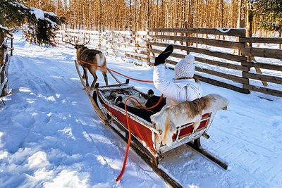 Family Christmas Finnish Lapland