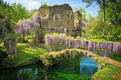 ninfa gardens italy