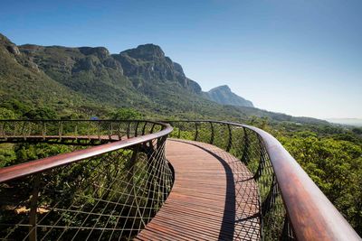 kirstenbosch botanical garden cape town