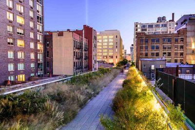 the high line park new york