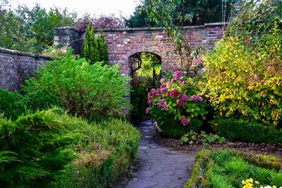 walled garden endland