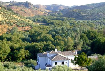 Casa Olea, luxury hotel in Spain