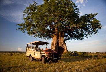 Breakfast in the bush, Ruaha National Park