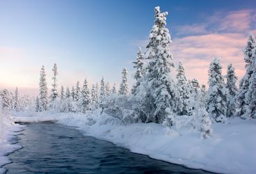 Snow covered scenery