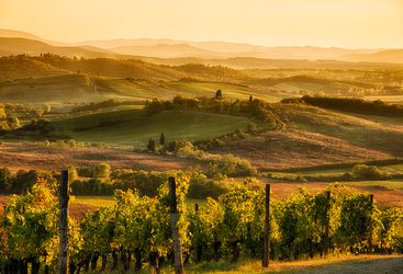 Tuscan Hills