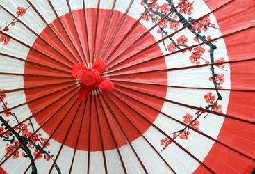 Japanese Parasol