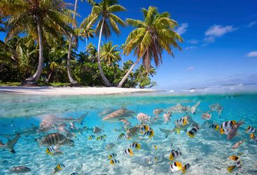 Tikehau Island, French Polynesia