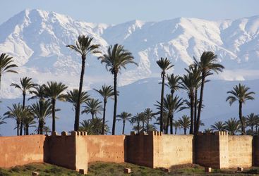 Atlas Mountains palmtrees