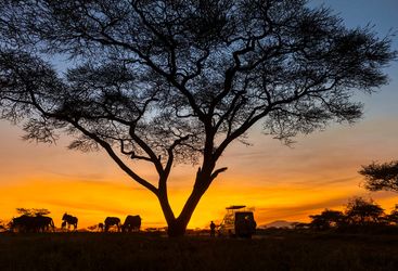 Kenyan sunset