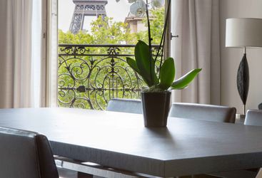 paris view