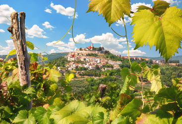 Motovun Istria Croatia