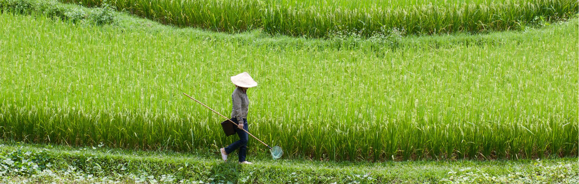 5 Reasons Why You Should Visit Vietnam 2017 | Original Travel