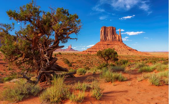 Desert Scenery