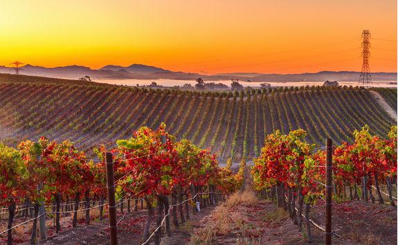 The sunset over Napa Valley