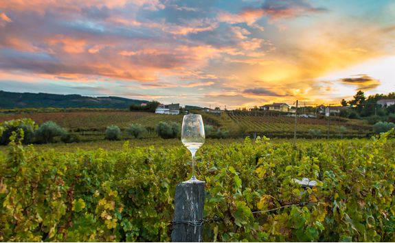 Expansive views of Napa Valley