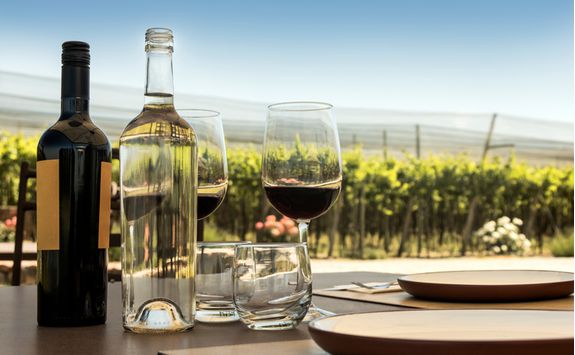 Wine tasting with stunning views