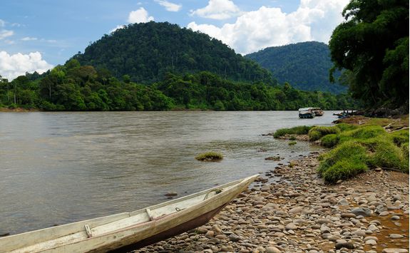 Tanjung Puting National Park, Kalimantan