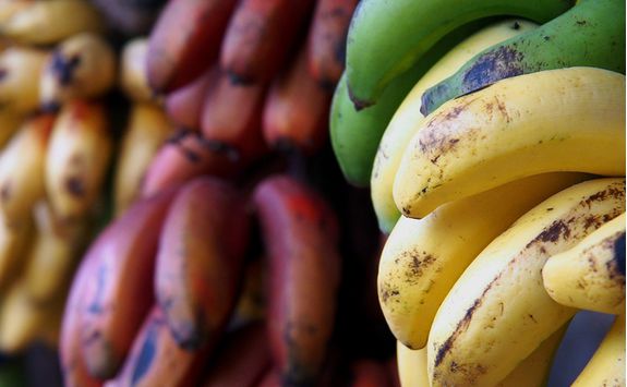 Exotic bananas in Zanzibar