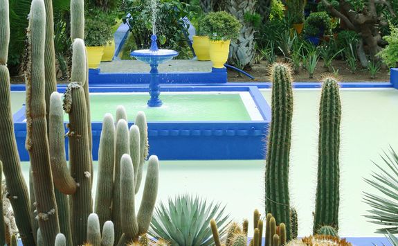 Cacti Garden in Marrakech