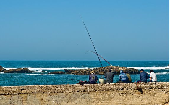 Fishing in Essaouira