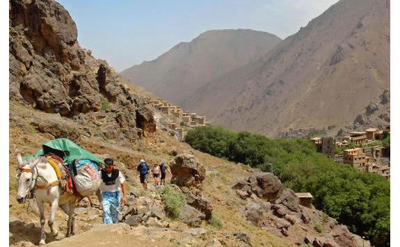 Atlas Mountains trekking donkeys