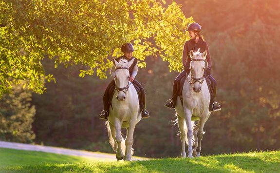 horse riding in Hyde Park