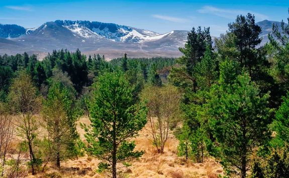 Caringorms National Park
