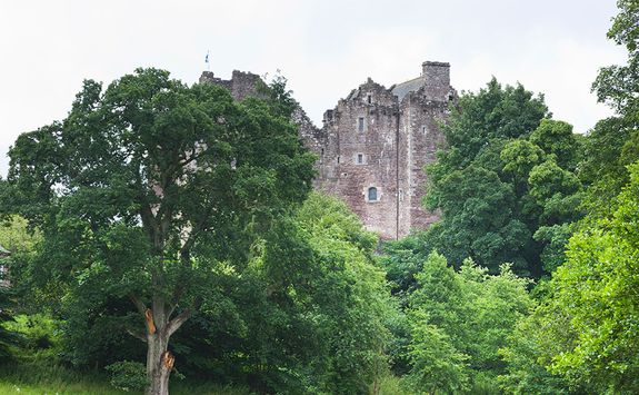 Doune Castle through the trees