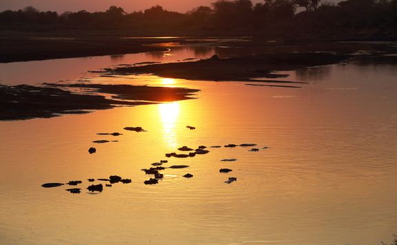 Sunset over South Luangwa